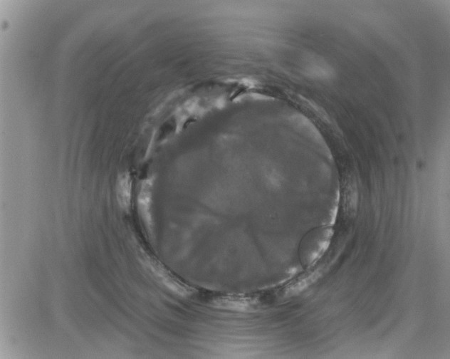 X0000082710661200702232257