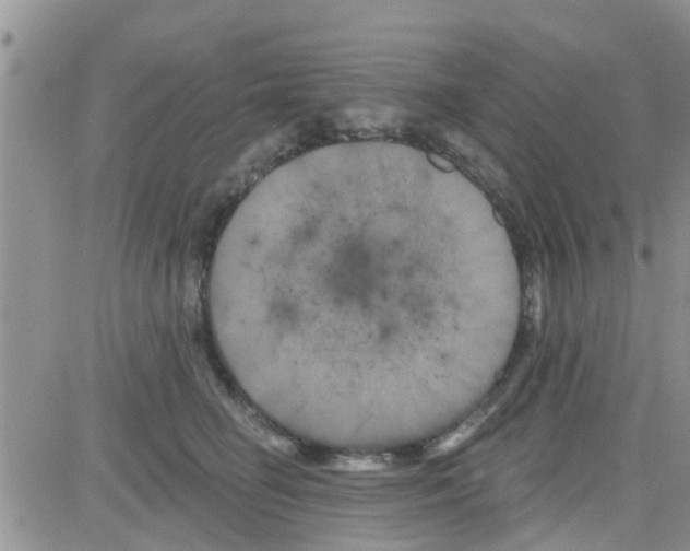 X0000082710662200702232257