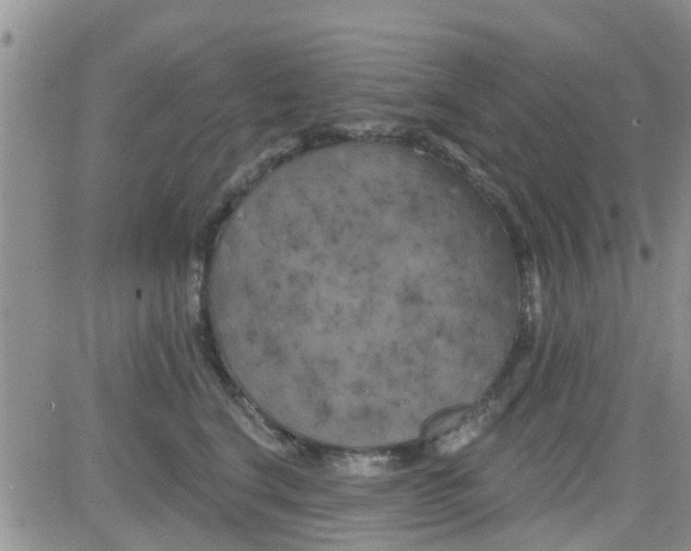 X0000082710664200702232257