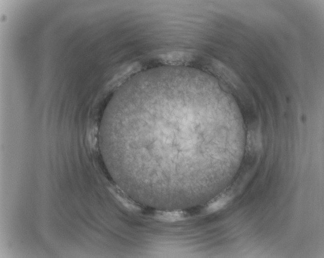 X0000082710671200702232257