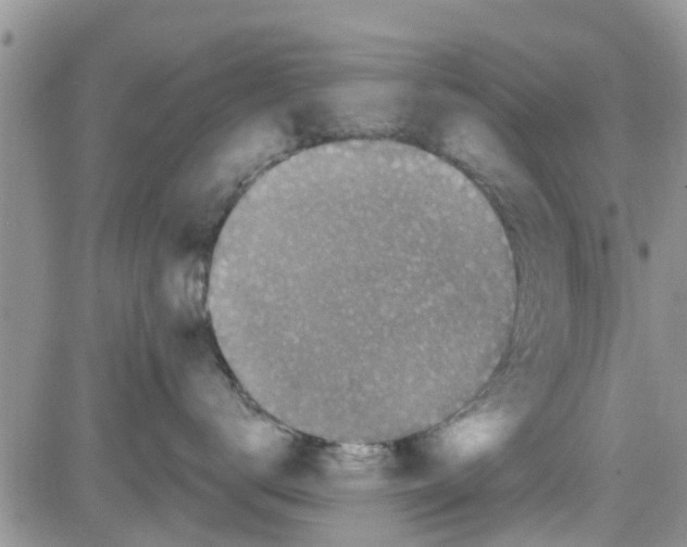 X0000082710672200702232257