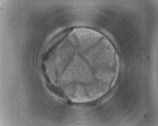 X0000082710673200702232257