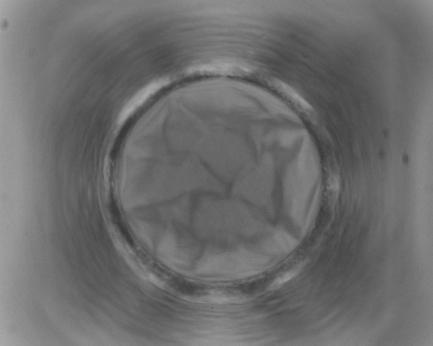 X0000082710678200702232256