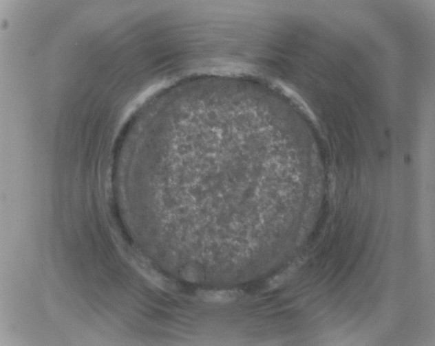 X0000082710679200702232256