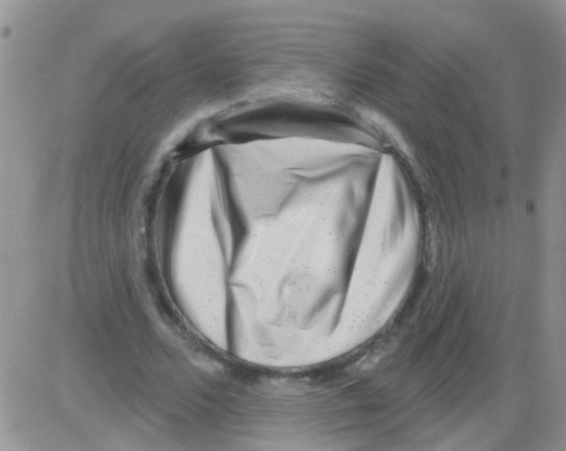 X0000082710680200702232256