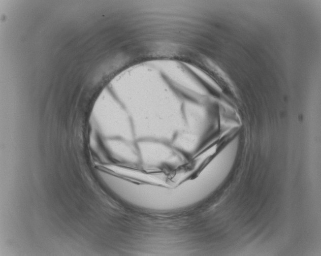 X0000082710681200702232256