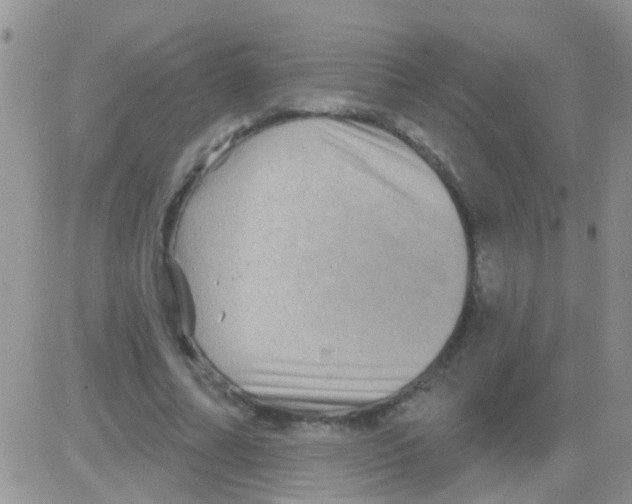 X0000082710682200702232256