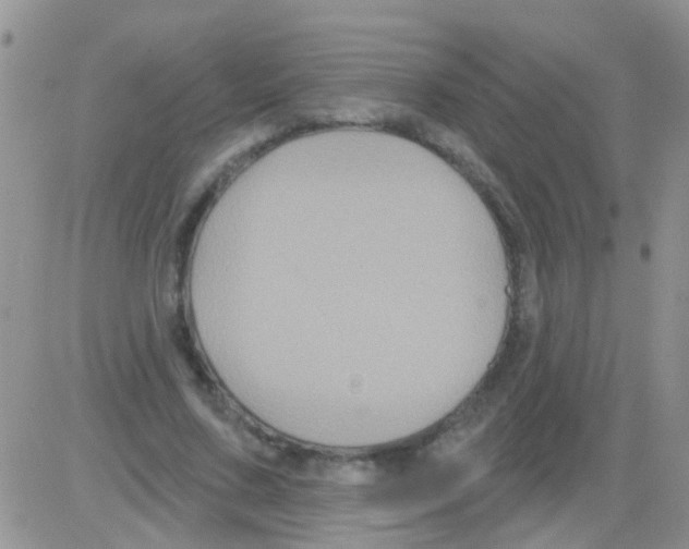 X0000082710683200702232256