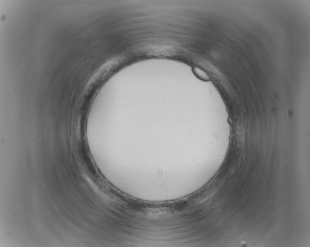 X0000082710686200702232256