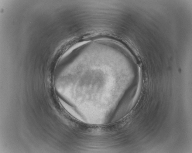 X0000082710688200702232256