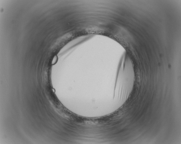 X0000082710690200702232256