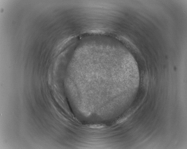 X0000082710692200702232256