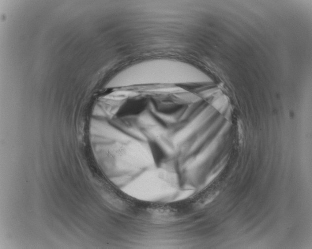 X0000082710693200702232256