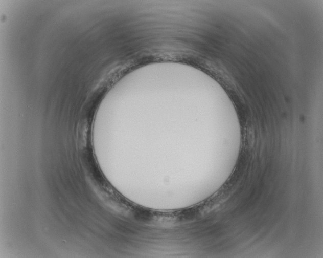 X0000082710694200702232256