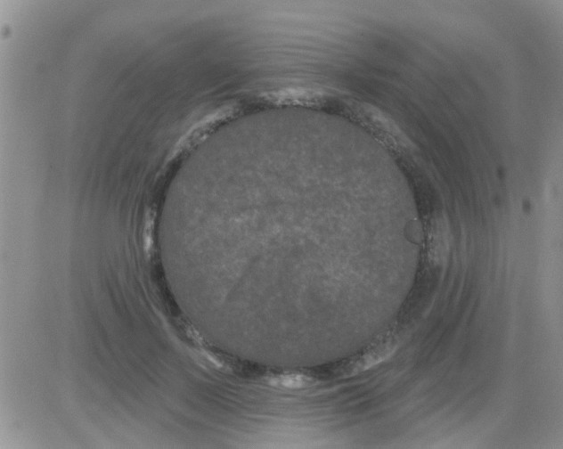 X0000082710695200702232256