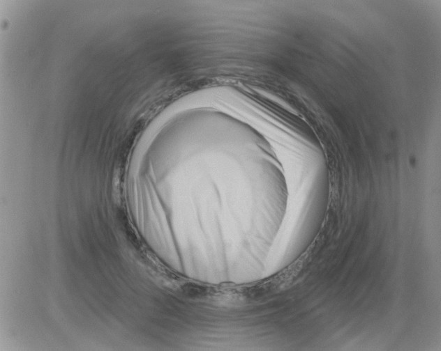 X0000082710696200702232256