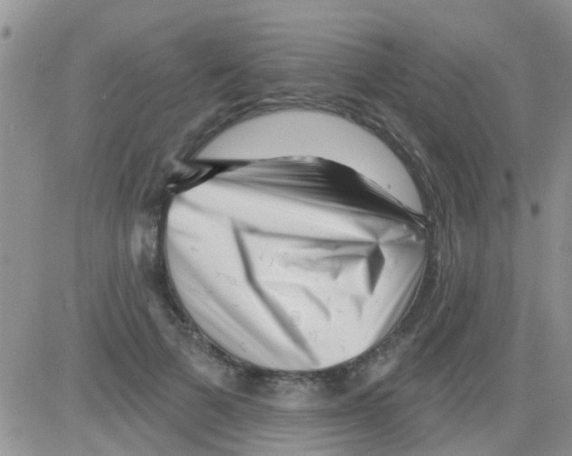 X0000082710697200702232256