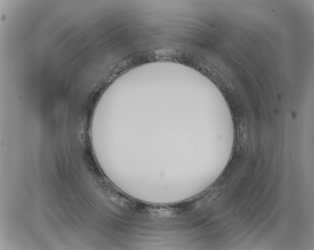 X0000082710698200702232256