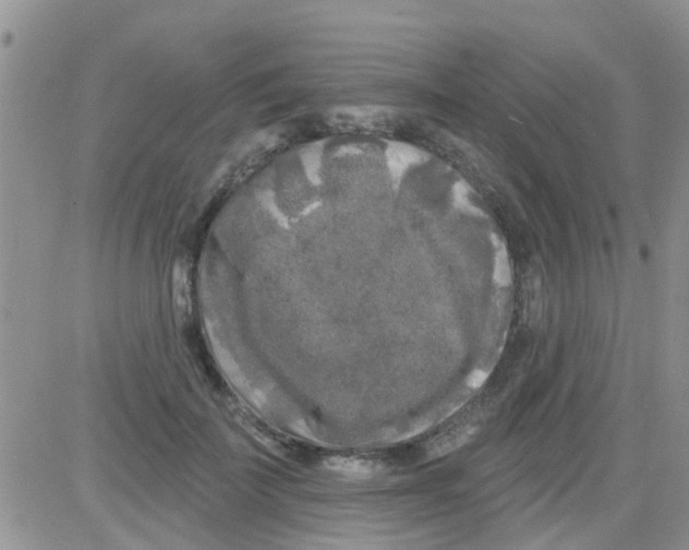 X0000082710699200702232256