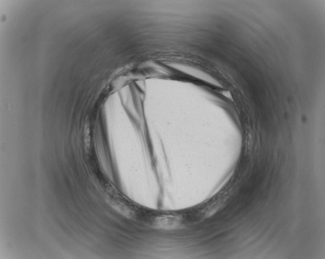 X0000082710700200702232256