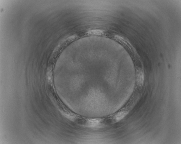 X0000082710701200702232256