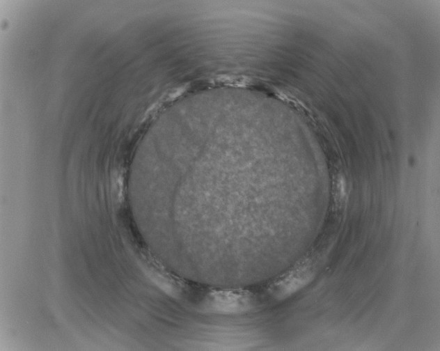 X0000082710703200702232256