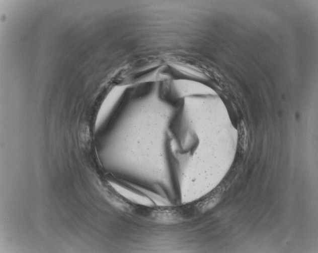 X0000082710704200702232256