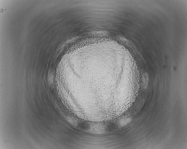 X0000082710705200702232256