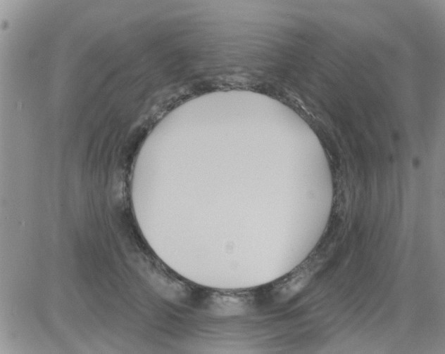 X0000082710706200702232256