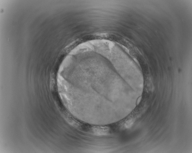 X0000082710707200702232256