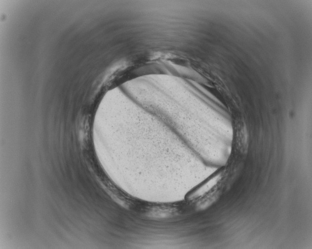 X0000082710708200702232256