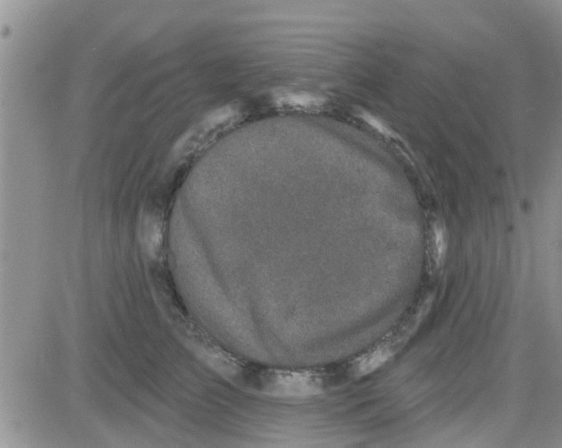 X0000082710709200702232256