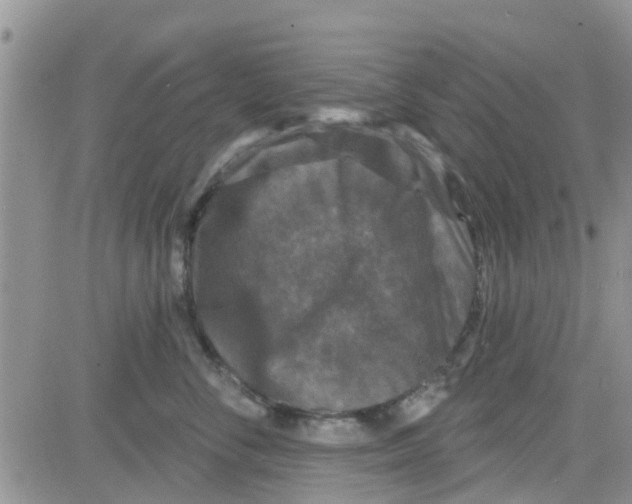 X0000082710716200702232256