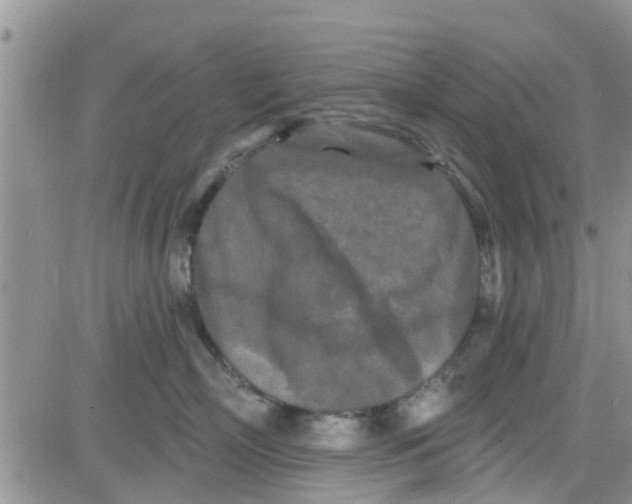 X0000082710718200702232256