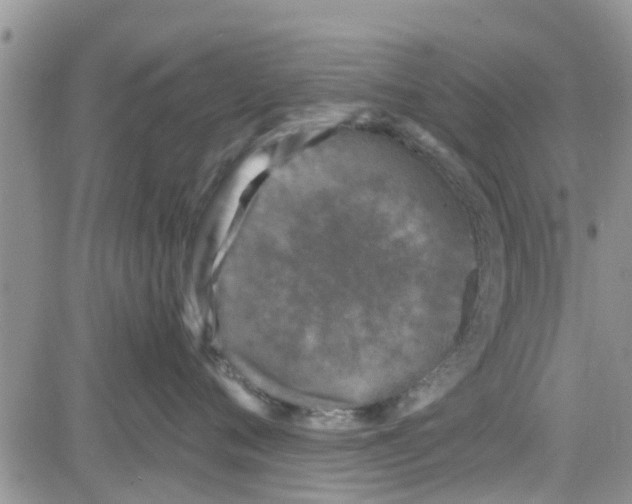 X0000082710720200702232256