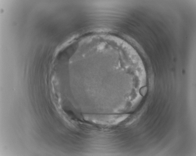 X0000082710721200702232255