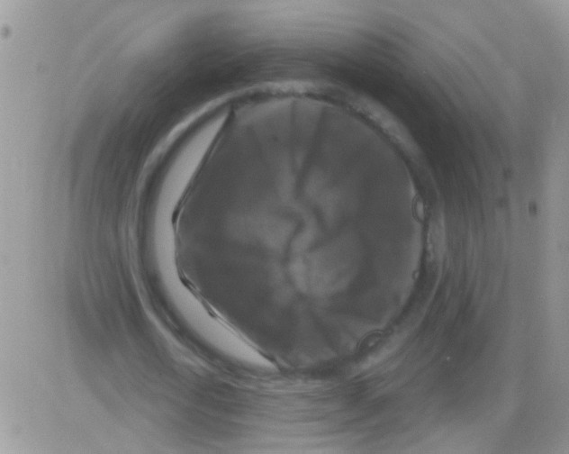 X0000082710722200702232255