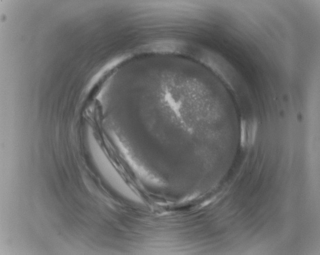 X0000082710723200702232255