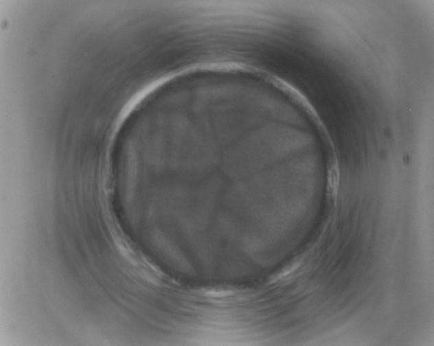 X0000082710724200702232255