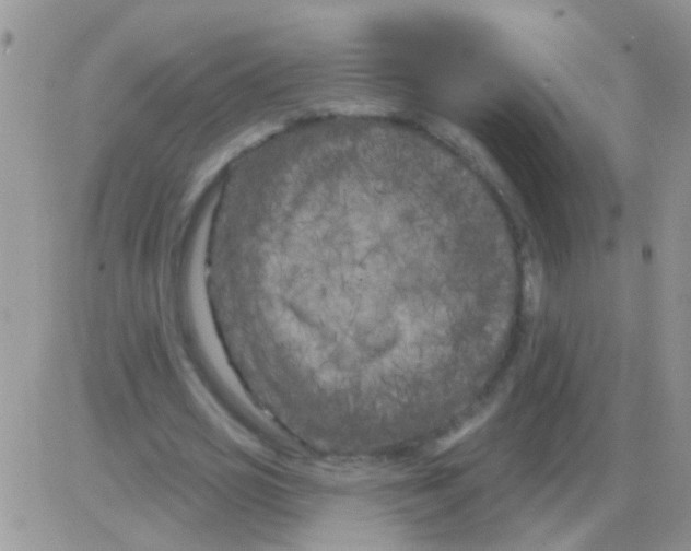 X0000082710725200702232255