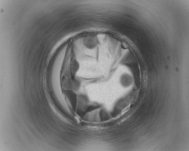 X0000082710726200702232255