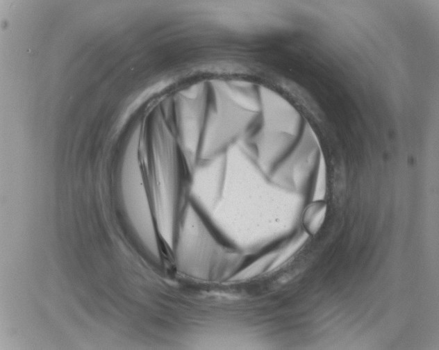 X0000082710727200702232255