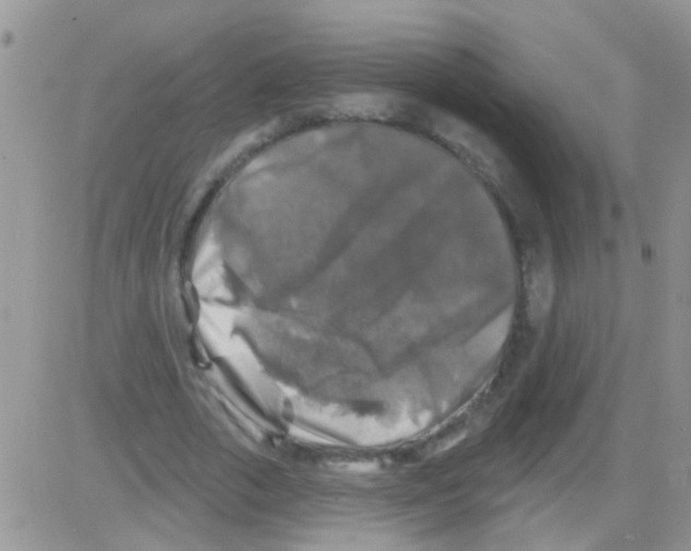 X0000082710729200702232255