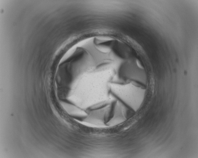 X0000082710730200702232255