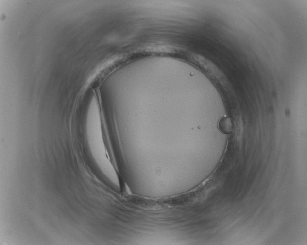 X0000082710731200702232255