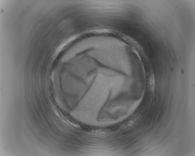 X0000082710732200702232255