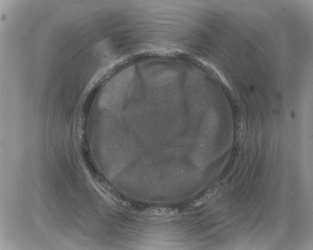 X0000082710736200702232255