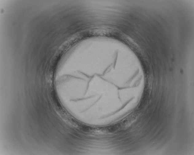 X0000082710737200702232255