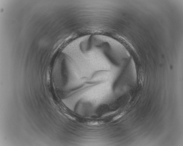 X0000082710740200702232255