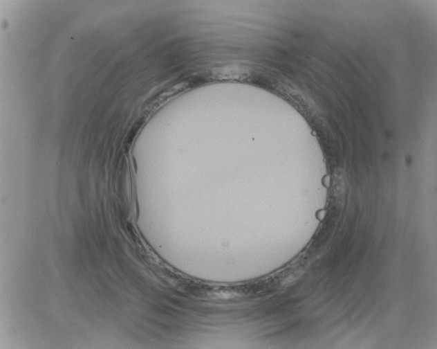 X0000082710741200702232255